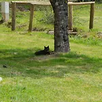 Camping La Foret Enchantee