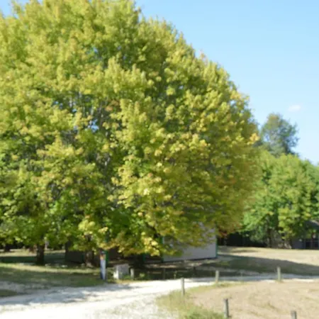 La Foret Enchantee Campsite Cornille (Dordogne)