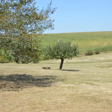 La Forêt Enchantée 3*