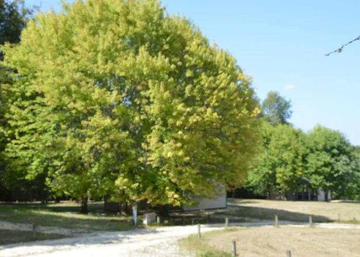 La Foret Enchantee Kemping Cornille