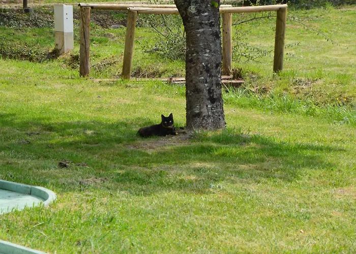 Kemping La Foret Enchantee